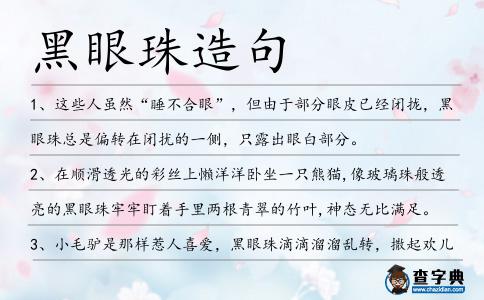 黑眼珠造句