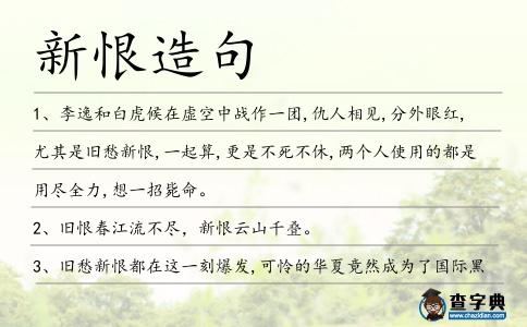 新恨造句
