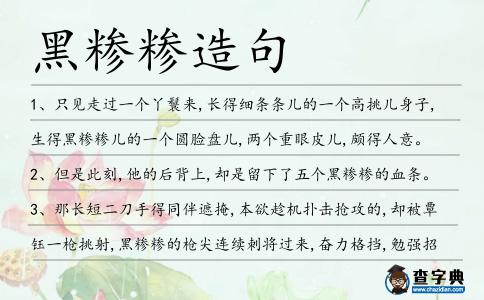 黑糝糝造句