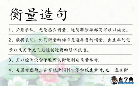 衡量造句