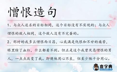 憎恨造句