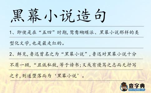 黑幕小說造句