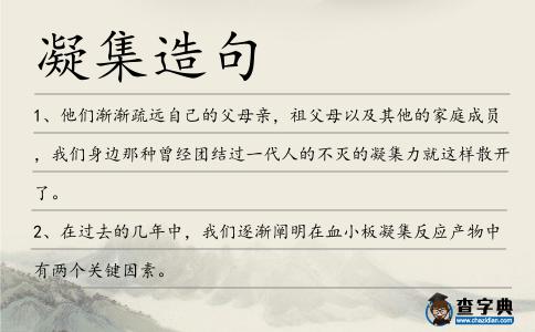 凝集造句
