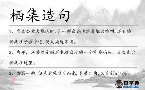 棲集造句