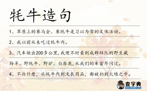 牦牛造句