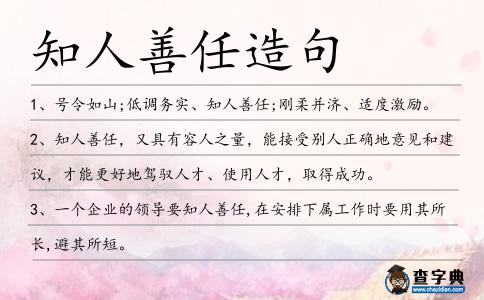 知人善任造句