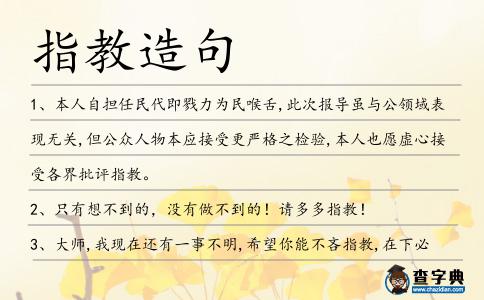指教造句