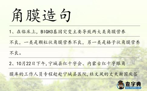 角膜造句