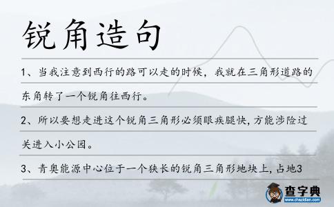 銳角造句