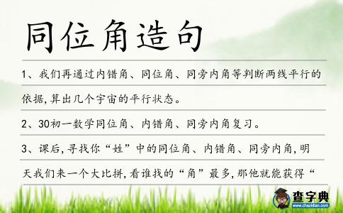 同位角造句