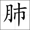 肺