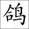 鴿