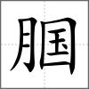 腘