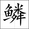 鱗