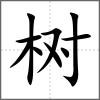 樹