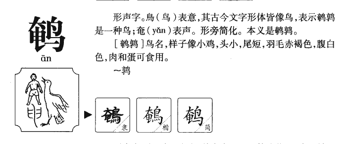 鵪