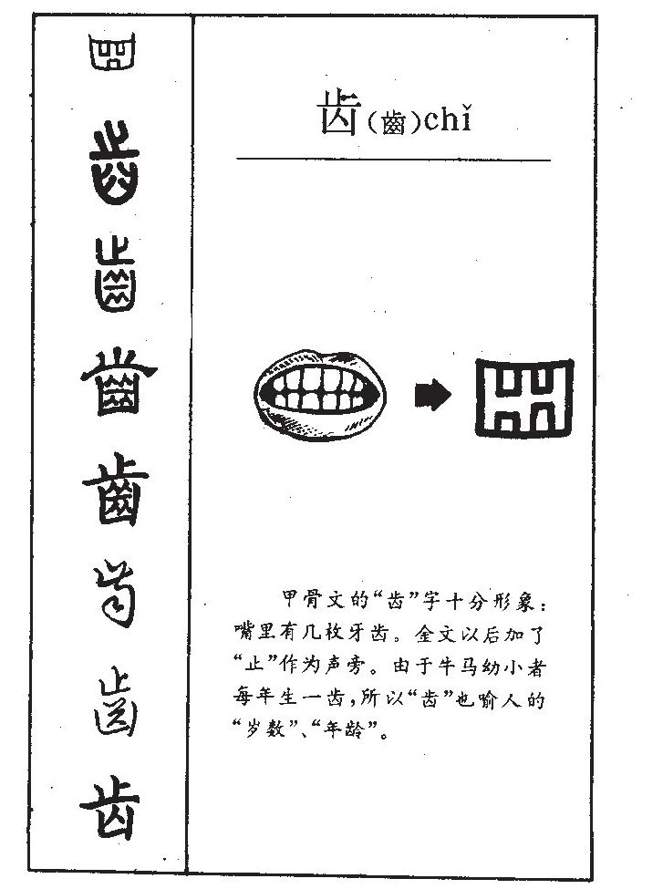 齒