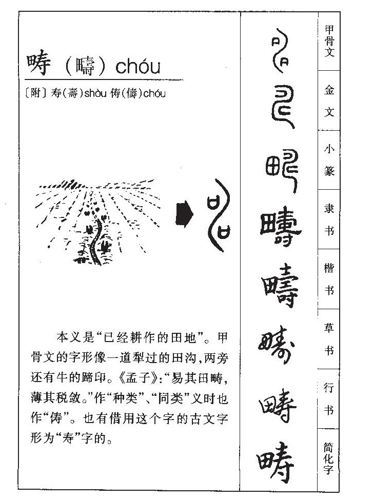 疇