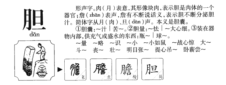 膽