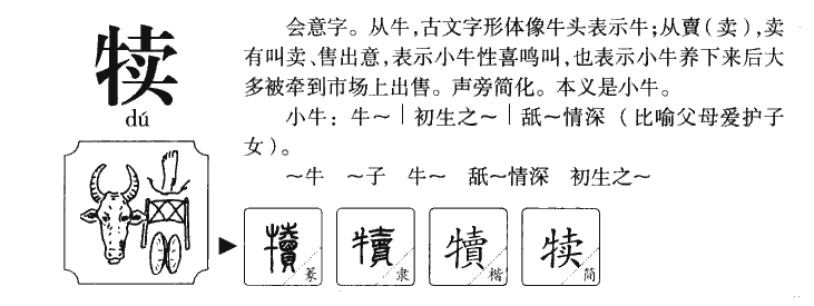 犢