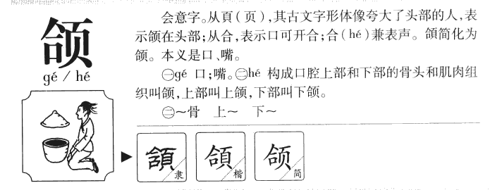 頜