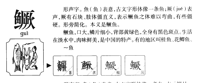 鱖
