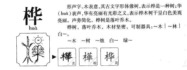 樺