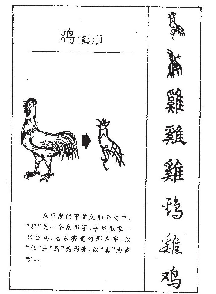 雞