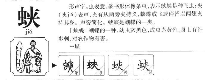 蛺