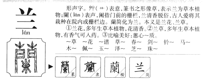 蘭