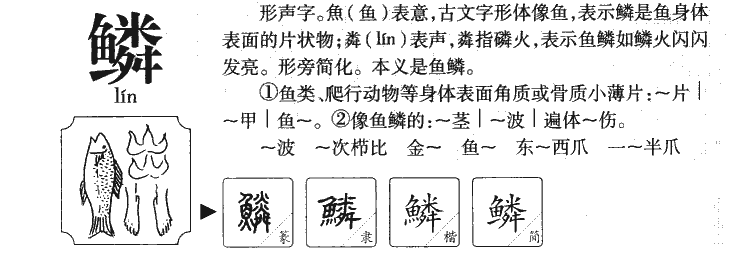 鱗