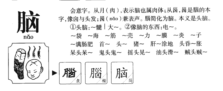 腦