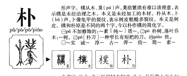 樸