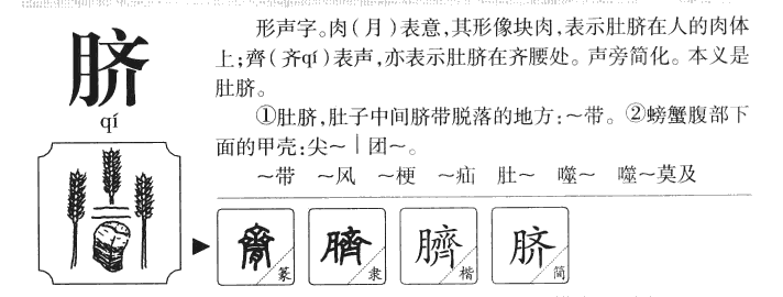 臍