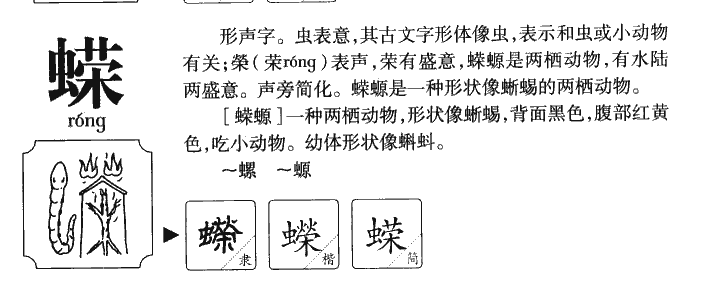 蠑