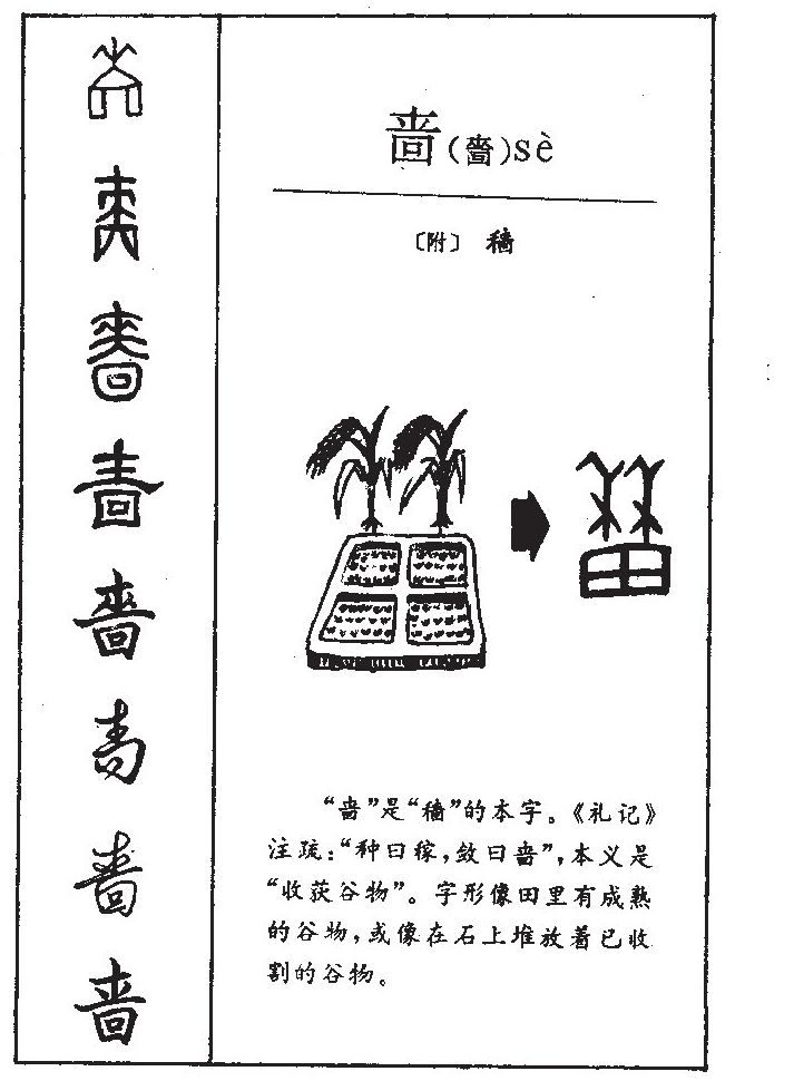 嗇