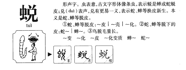 蛻