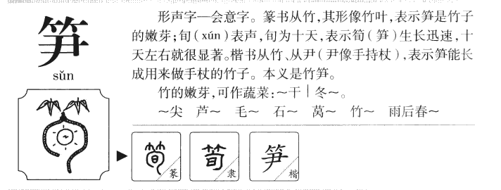筍