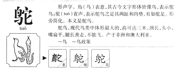 鴕
