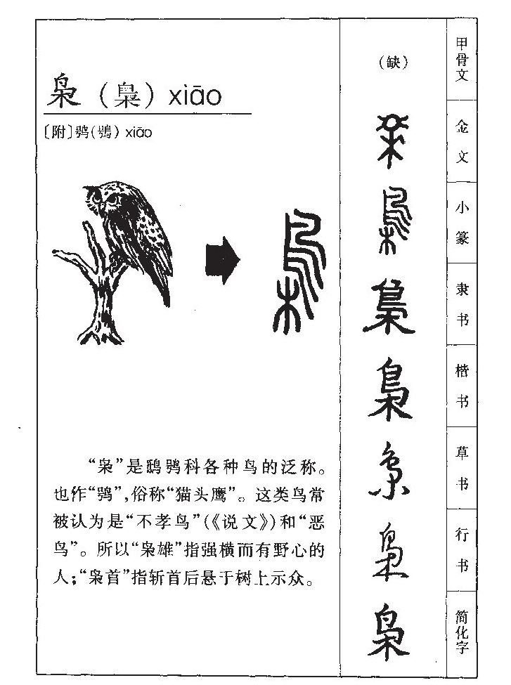 梟