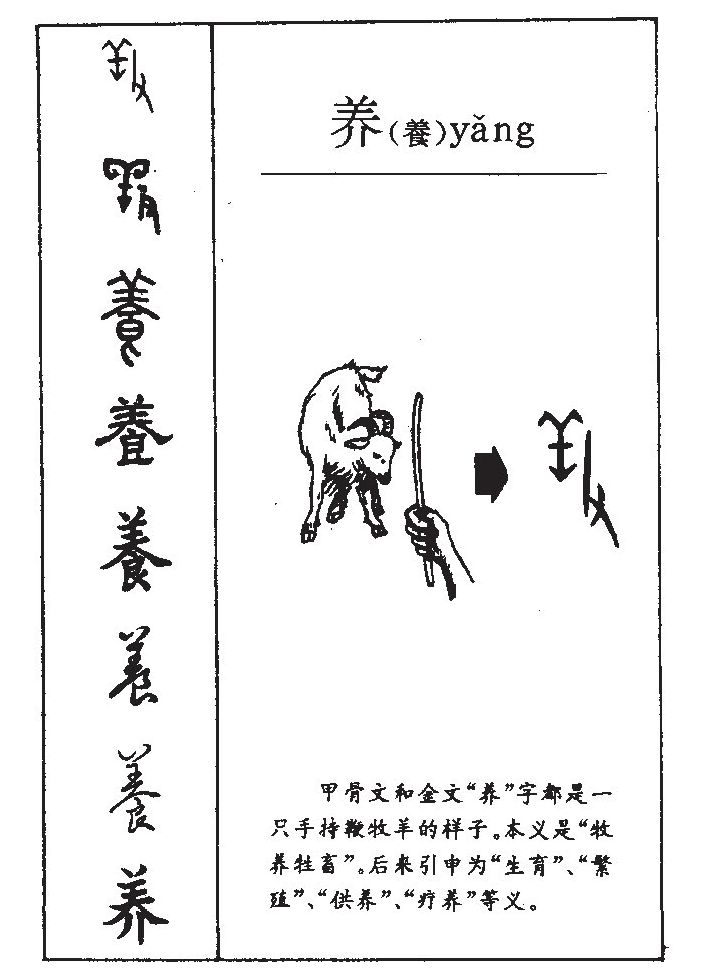 養(yǎng)