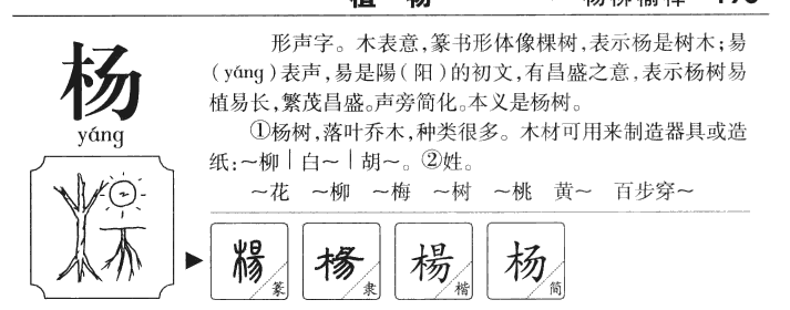 楊