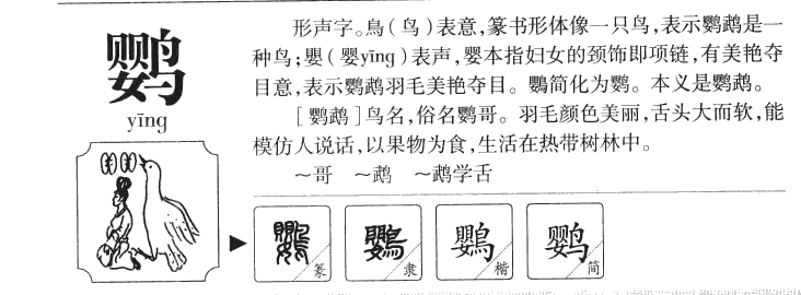 鸚