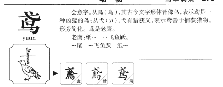 鳶