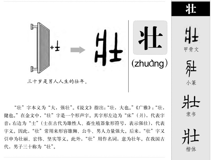 壯