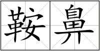 鞍鼻