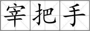 宰把手