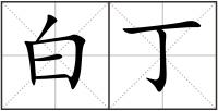 白丁