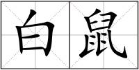 白鼠