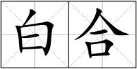 白合